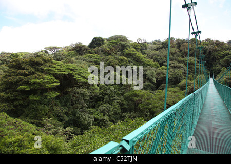 L'un des ponts au-dessus de la cime des arbres de la forêt de nuages de Monteverde Cloud Forest, Costa Rica, Amérique Centrale Banque D'Images