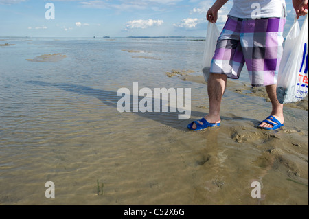 Deux hommes chinois de marcher à travers l'estran à marée basse la cueillette de coquillages. Shot close up avec corps et jambes uniquement en vue. Banque D'Images