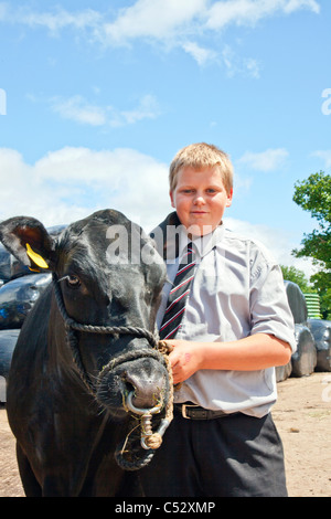 Un jeune garçon montrant un veau à Aberdeen Angus montrent un pays en Bridgwater Somerset England UK Cannington Banque D'Images