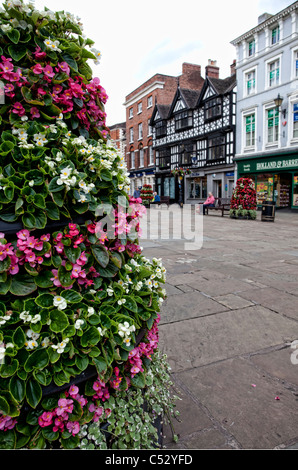 Le centre-ville de Shrewsbury montrant agréable atmosphère florale sur la place. Banque D'Images