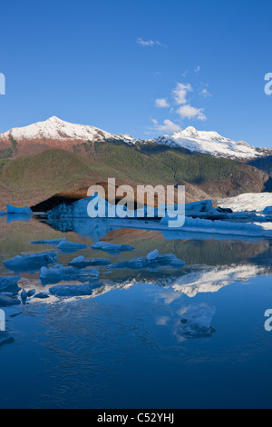 La glace se forme sur le rivage du lac Mendenhall près de Juneau, la Forêt Nationale Tongass, sud-est de l'Alaska, l'automne Banque D'Images