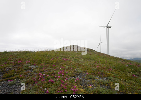 Pilier Mountain Wind Project éoliennes sur la montagne de pied sur l'image, l'île Kodiak, sud-ouest de l'Alaska, l'été Banque D'Images