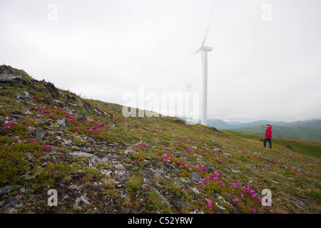 Vues Montagne femme pilier Projet éolien éoliennes sur la montagne de pied sur l'image, l'île Kodiak, Alaska Banque D'Images