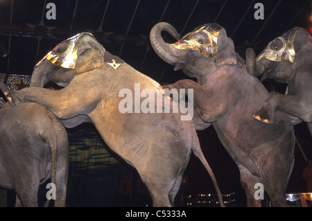 Exécution d'animaux dans un cirque itinérant- La danse des éléphants Banque D'Images