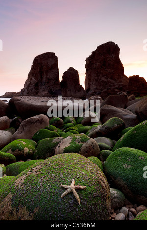 Malhada ne Ourical, Sintra, Portugal, Europe Banque D'Images