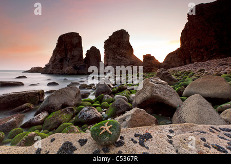 Malhada ne Ourical, Sintra, Portugal, Europe Banque D'Images