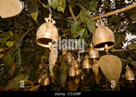 Détail de cloches pendus dans les arbres. Photo a été prise à côté de la statue du Grand Bouddha à Phuket, Thaïlande. Banque D'Images