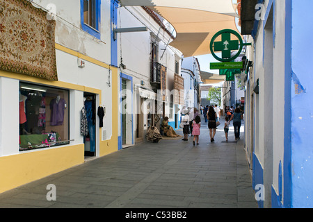 Tapis d'Arraiolos Arraiolos, équitable, Alentejo, Portugal, Europe Banque D'Images