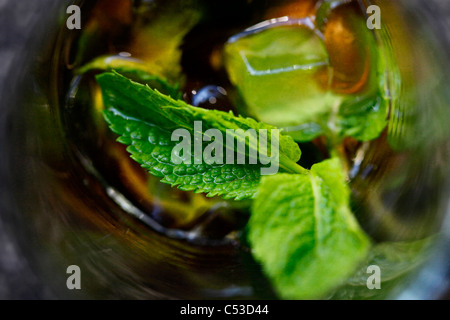 Thé de feuilles de menthe fraîche Banque D'Images