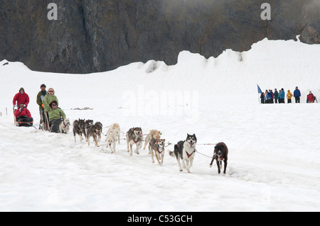 Les visiteurs de traîneaux sur glacier Punchbowl près de Girdwood, Southcentral Alaska, l'été Banque D'Images