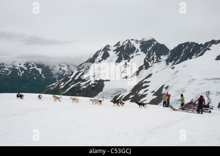 Les visiteurs de traîneaux sur glacier Punchbowl près de Girdwood, Southcentral Alaska, l'été Banque D'Images