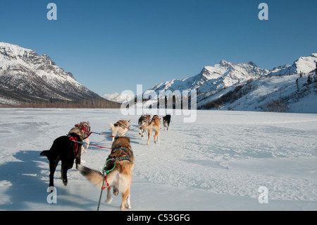 Vue depuis le traîneau tout en traîneaux à l'embranchement nord de la rivière Koyukuk dans Gates of the Arctic National Park Banque D'Images