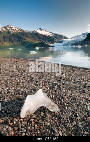 Vue panoramique d'icebergs flottant dans le lac Mendenhall Glacier Mendenhall avec en arrière-plan, Juneau, Alaska Banque D'Images