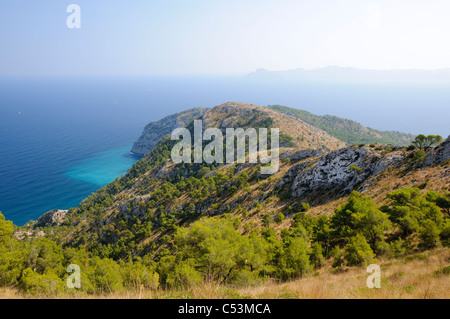 Vue de la Platja des Coll Baix sur la péninsule d'Alcudia, Majorque, Espagne, Europe Banque D'Images