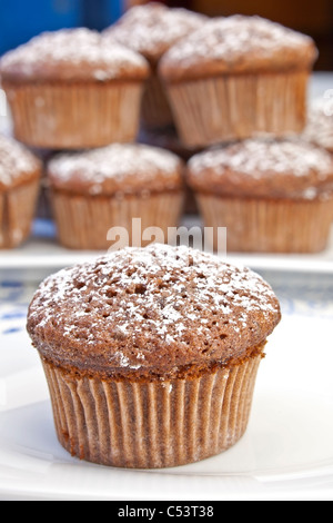 Des petits muffins au chocolat saupoudré de sucre en poudre Banque D'Images