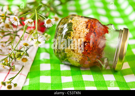 Pesto dans les couleurs nationales de l'Italie, composé de roquette et de basilic, tomates séchées et noix de pin Fromage au pesto Banque D'Images