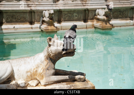 Sienne, Italie | Sienne, Italie Banque D'Images
