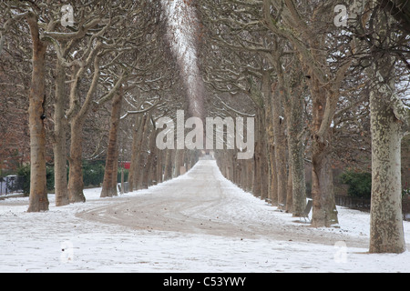 Chemin bordé d'arbres au Jardin des Plantes parc en hiver, Paris Banque D'Images