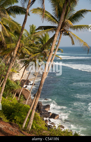 Plage et côte près de Mirissa, Sri Lanka Banque D'Images