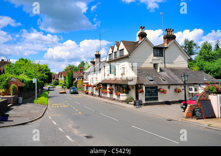 Le pub du village de Albury ,Drummond Arms dans le Surrey Hills Banque D'Images