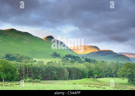 La lumière du soleil du matin d'été sur les collines et campagne dans le Lake District Banque D'Images