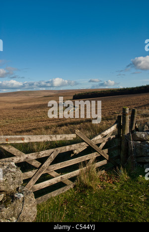 Le Dartmoor sur broken gate avec ciel bleu et gros cumulus Banque D'Images