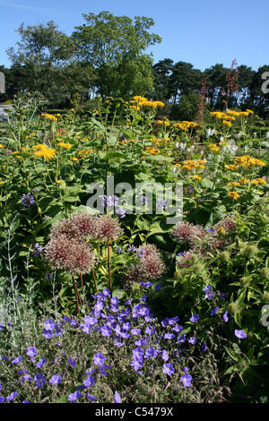 Lits à fleurs à Ness Botanic Gardens, Wirral, UK Banque D'Images