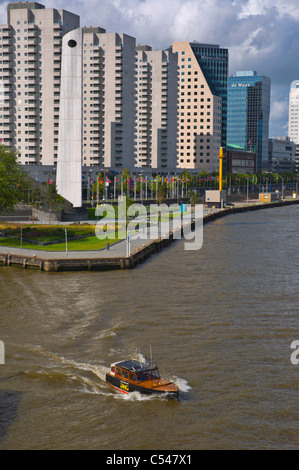 Voile sur la rivière Nouvelle Meuse devant Boompjes Rotterdam boulevard la province de Hollande du Sud l'Europe Pays-Bas Banque D'Images