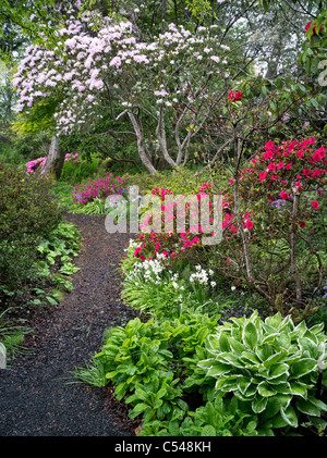 Chemin de jardin et de plantes fleuries. Le Connie Hansen Garden. Lincoln City, Oregon Banque D'Images