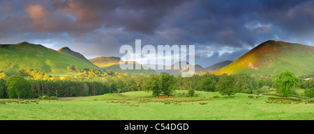 Vue panoramique sur la Vallée de Derwent et Newlands fells sous la lumière du soleil d'or sur un beau matin d'été, de Lake District Banque D'Images