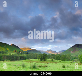 Tourné au format carré de la vallée de Newlands et Derwent Fells éclairée par la lumière du soleil sur un matin d'été dans le Lake District Banque D'Images