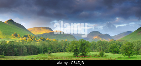 La lumière du soleil du matin d'été sur la Vallée de Derwent et Newlands Fells dans le Lake District Banque D'Images