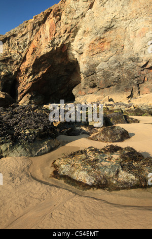 Les grottes de la mer à marée basse - Porthtowan beach, North Cornwall, England, UK Banque D'Images