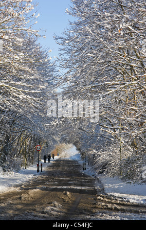 La route couverte de neige, Burghfield Common, Reading, Berkshire, England, UK Banque D'Images