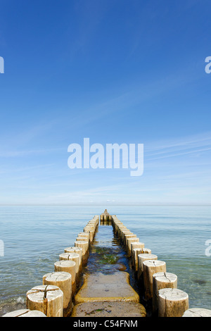 Aines off Ahrenshoop côte, Fischland-Darss-Zingst Peninsula, la mer Baltique, au nord ouest de l'Allemagne occidentale, district Banque D'Images