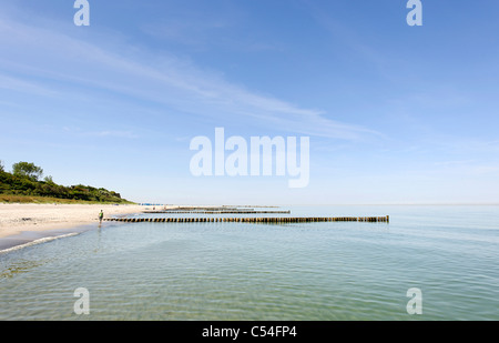 Aines off Ahrenshoop côte, Fischland-Darss-Zingst Peninsula, la mer Baltique, au nord ouest de l'Allemagne occidentale, district Banque D'Images