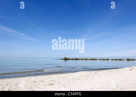 Aines off Ahrenshoop côte, Fischland-Darss-Zingst Peninsula, la mer Baltique, au nord ouest de l'Allemagne occidentale, district Banque D'Images