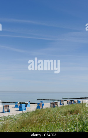 Aines off Ahrenshoop côte, Fischland-Darss-Zingst Peninsula, la mer Baltique, au nord ouest de l'Allemagne occidentale, district Banque D'Images