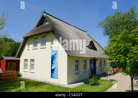 Maison de chaume, Ahrenshoop visitor centre, péninsule Fischland-Darss-Zingst, mer Baltique, Allemagne Banque D'Images