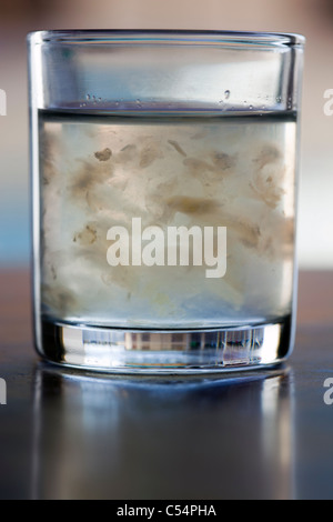 Chinese Birds Nest Drink ou Tonic une délicatesse dans de nombreuses régions d'Asie - un exemple de la nourriture étrange ou bizarre mangée par les gens du monde entier Banque D'Images