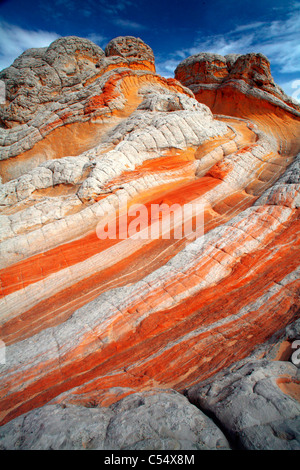 Les formations de grès blanc, poches, Paria Plateau, Paria Canyon-Vermilion Cliffs Wilderness, Arizona, USA Banque D'Images