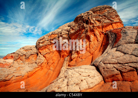 Les formations de grès blanc, poches, Paria Plateau, Paria Canyon-Vermilion Cliffs Wilderness, Arizona, USA Banque D'Images