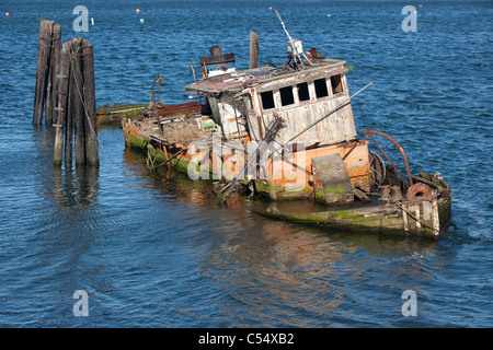 Mary D. Hume steamer dans la mer, Gold Beach, comté de Curry, Oregon, USA Banque D'Images