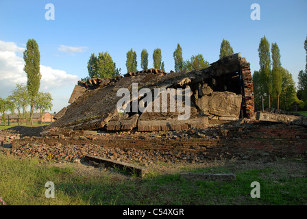 Ruines de la chambre à gaz, Auschwitz 2, Oświęcim, Pologne. Banque D'Images