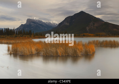 Lac en face de la montagne, le mont Rundle, Banff National Park, Alberta, Canada Banque D'Images