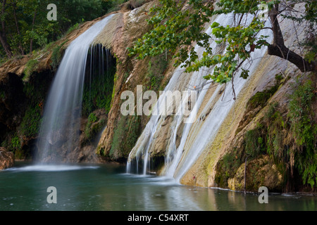 Cascade dans une forêt, Turner Falls, Arbuckle Mountains, North Carolina, USA Banque D'Images