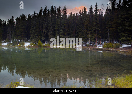 Reflet des arbres dans un lac, le lac Two Jack, Banff National Park, Alberta, Canada Banque D'Images