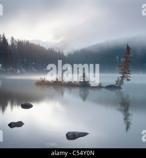 Lac recouvert de brouillard à l'aube, le lac Two Jack, Banff National Park, Alberta, Canada Banque D'Images