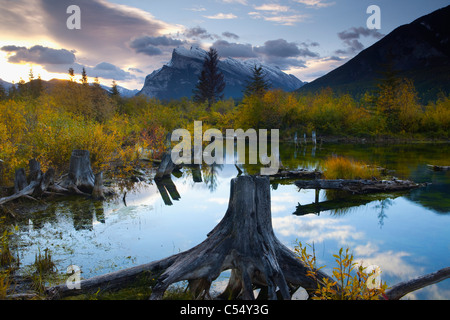 Les arbres autour d'un lac au lever du soleil, Lacs Vermillion, le mont Rundle, Banff National Park, Alberta, Canada Banque D'Images