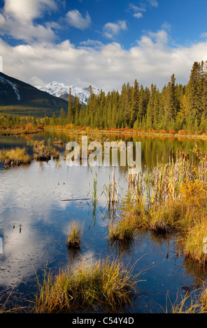 Les arbres autour d'un lac au lever du soleil, Lacs Vermillion, le mont Rundle, Banff National Park, Alberta, Canada Banque D'Images